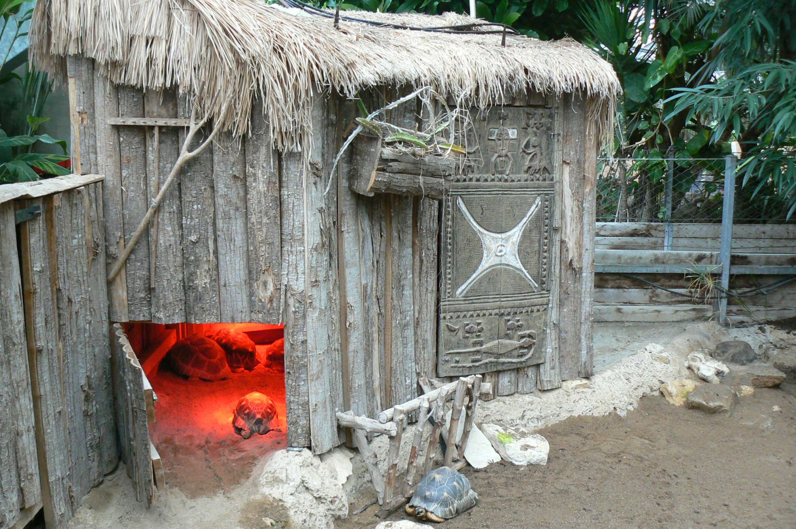 Planète Crocodiles - Radiated tortoises, Aldabra's giant tortoises and panther chameleon exhibit