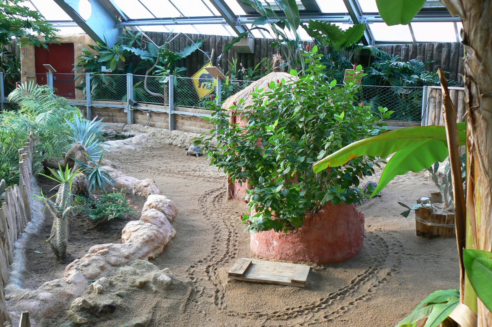 Planète Crocodiles - Radiated tortoises and Aldabra's giant tortoise exhibit