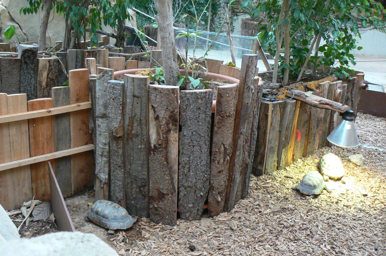 Planète Crocodiles - Red-footed tortoises exhibit