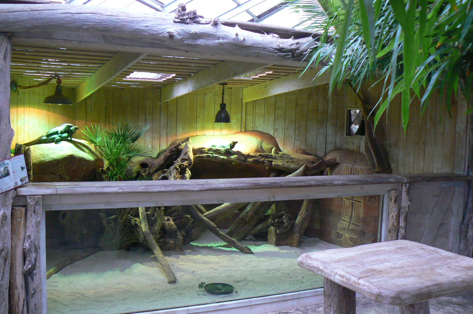 Planète Crocodiles - Rhinoceros iguanas exhibit