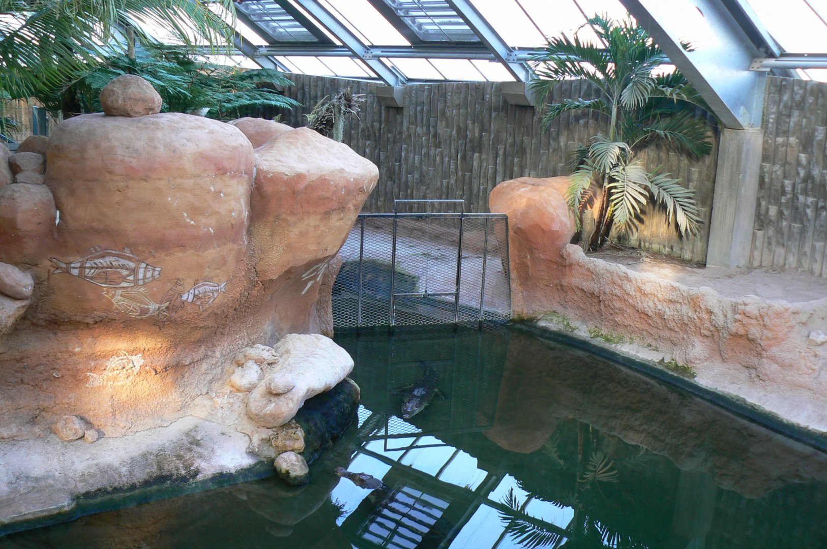 Planète Crocodiles - Saltwater crocodiles main exhibit