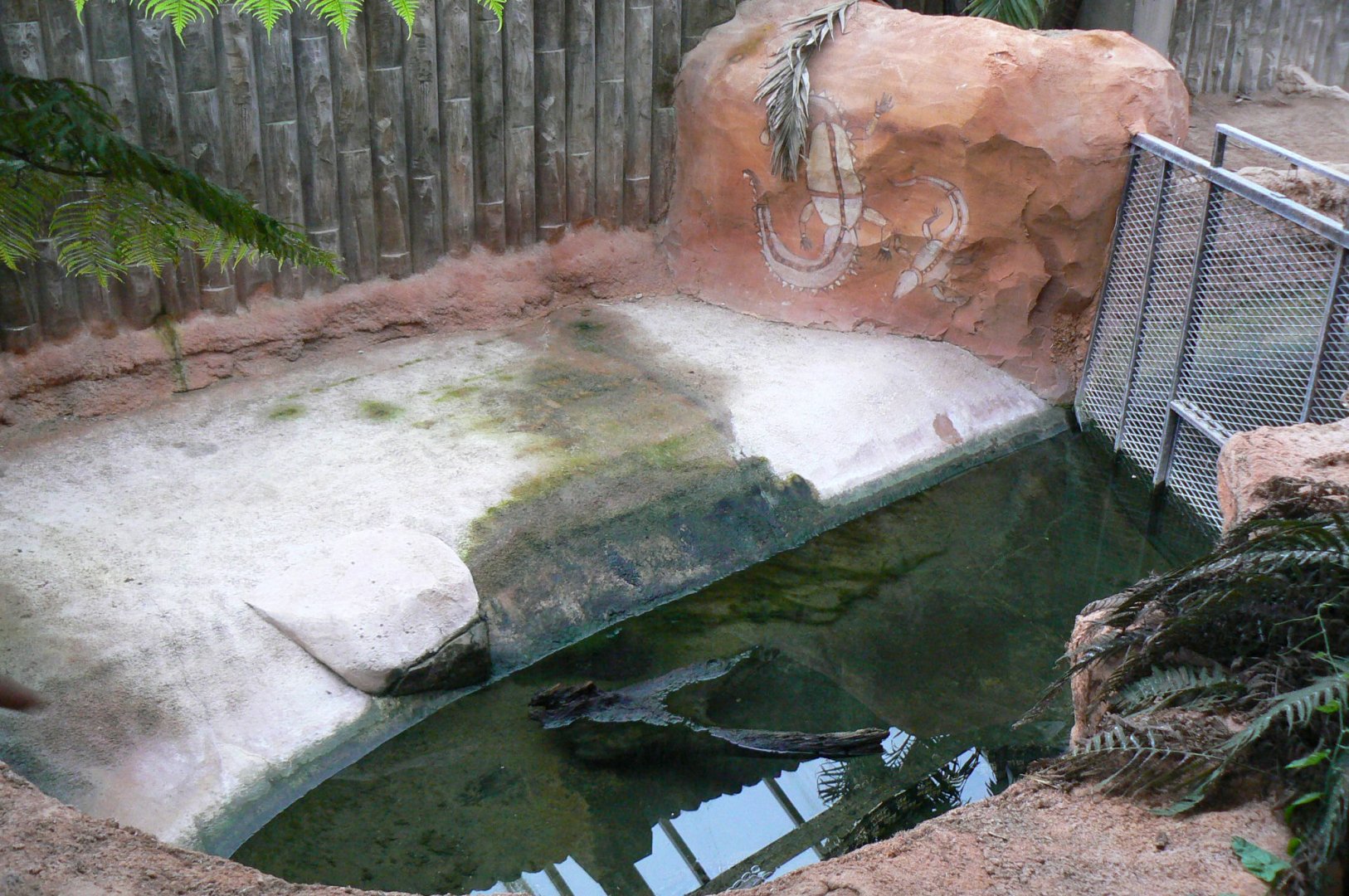 Planète Crocodiles - Saltwater crocodiles second exhibit