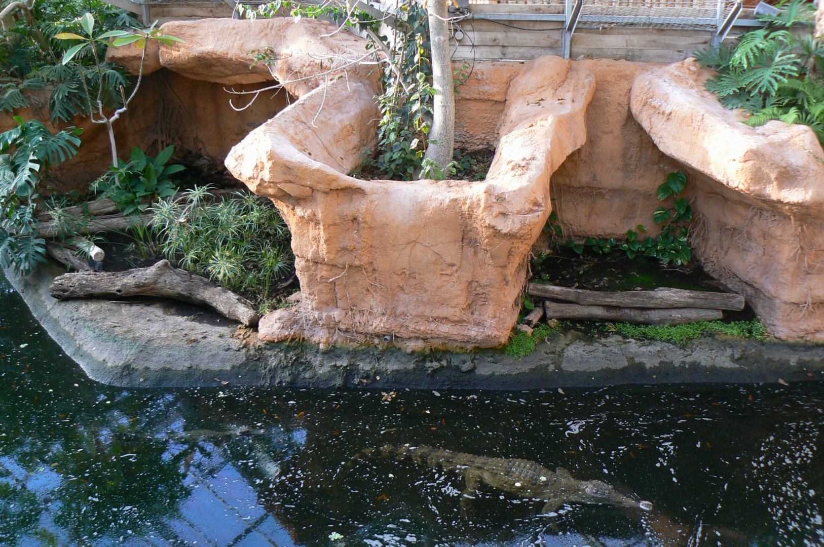 Planète Crocodiles - Slender-snouted crocodiles exhibit