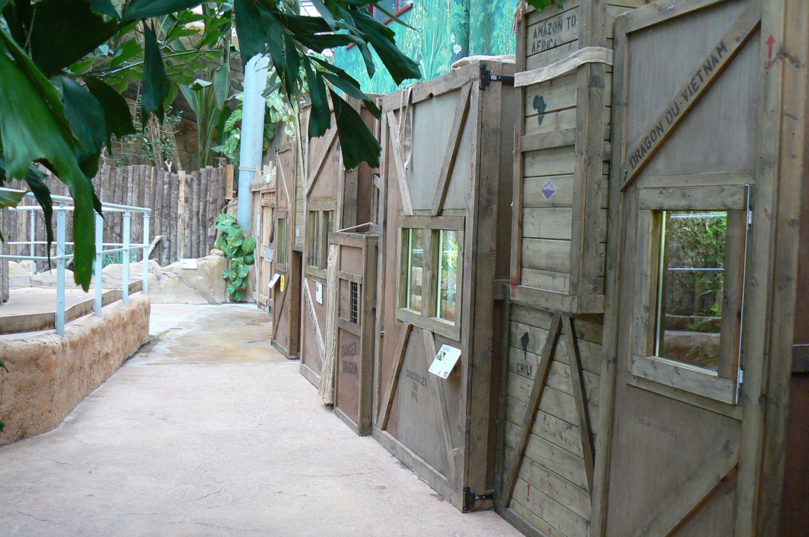 Planète Crocodiles - Terrariums wall for day geckos and green tree pythons