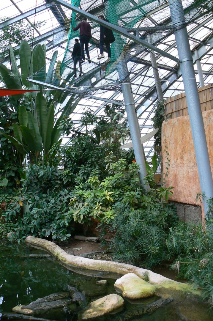 Planète Crocodiles - Visitors above Nile crocs