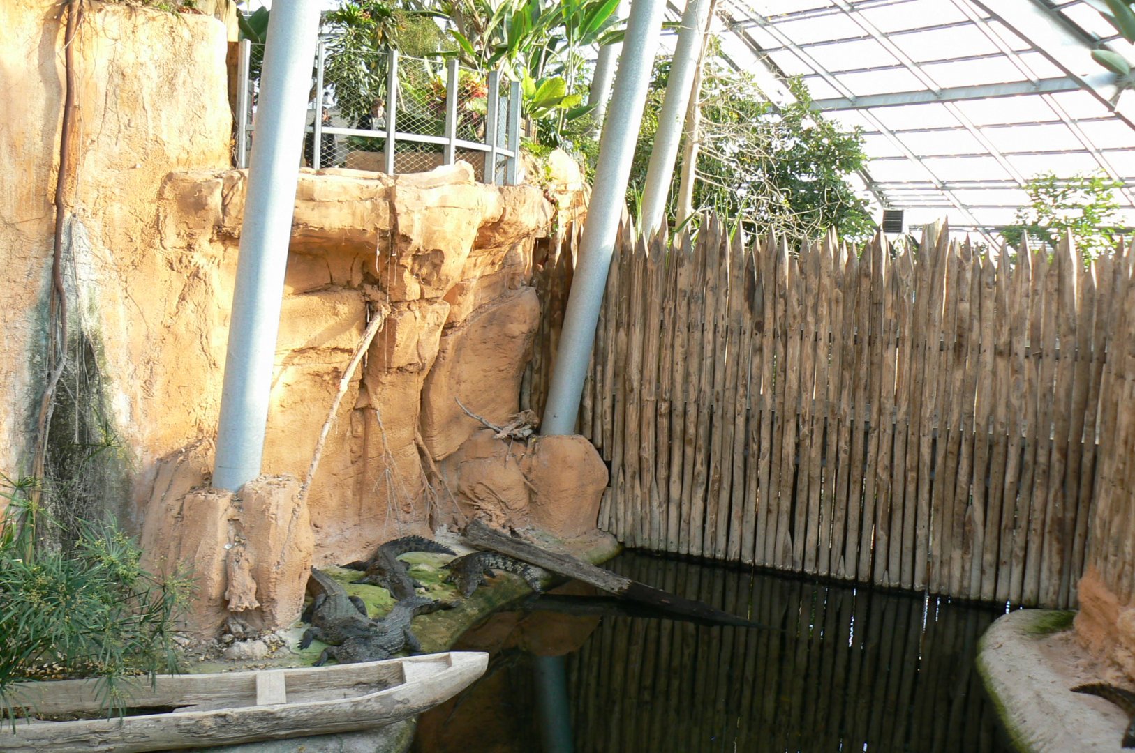 Planète Crocodiles - Young Nile crocodiles exhibit