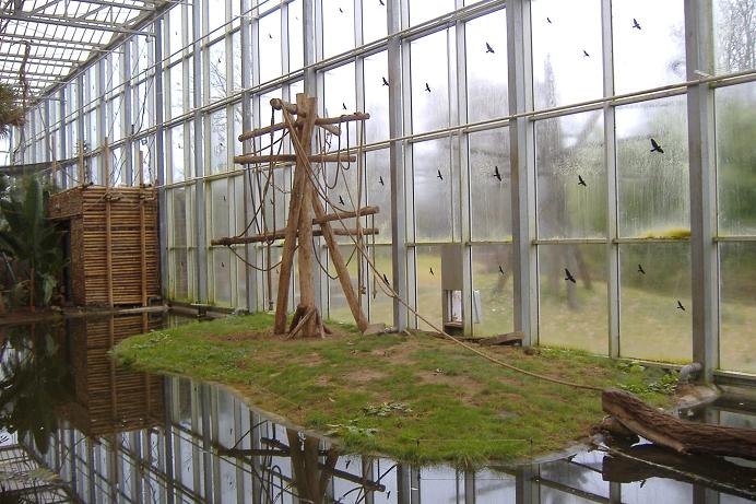 Plankendael Gibbon Indoor island