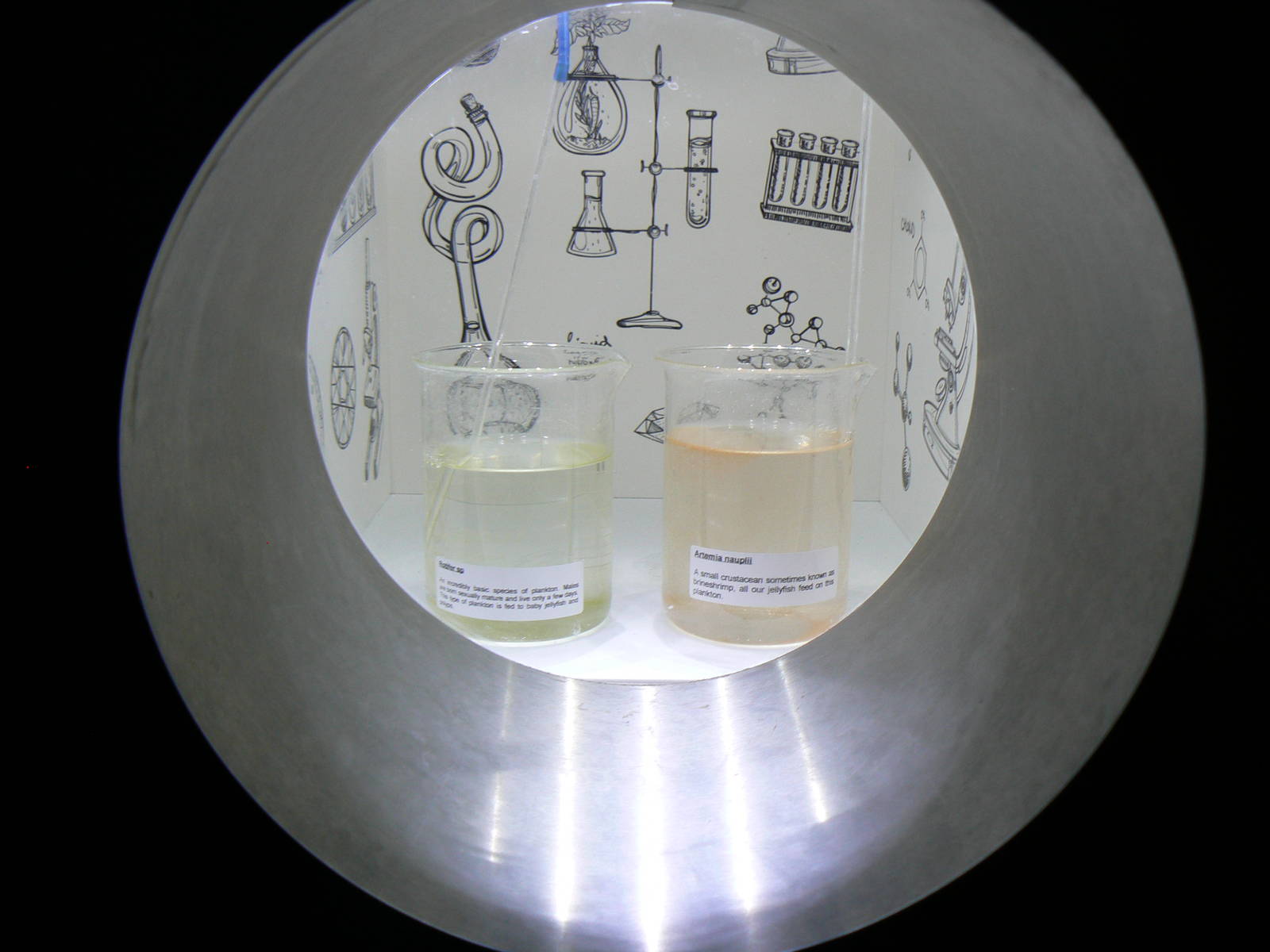 Plankton Exhibit - 26 March 2016