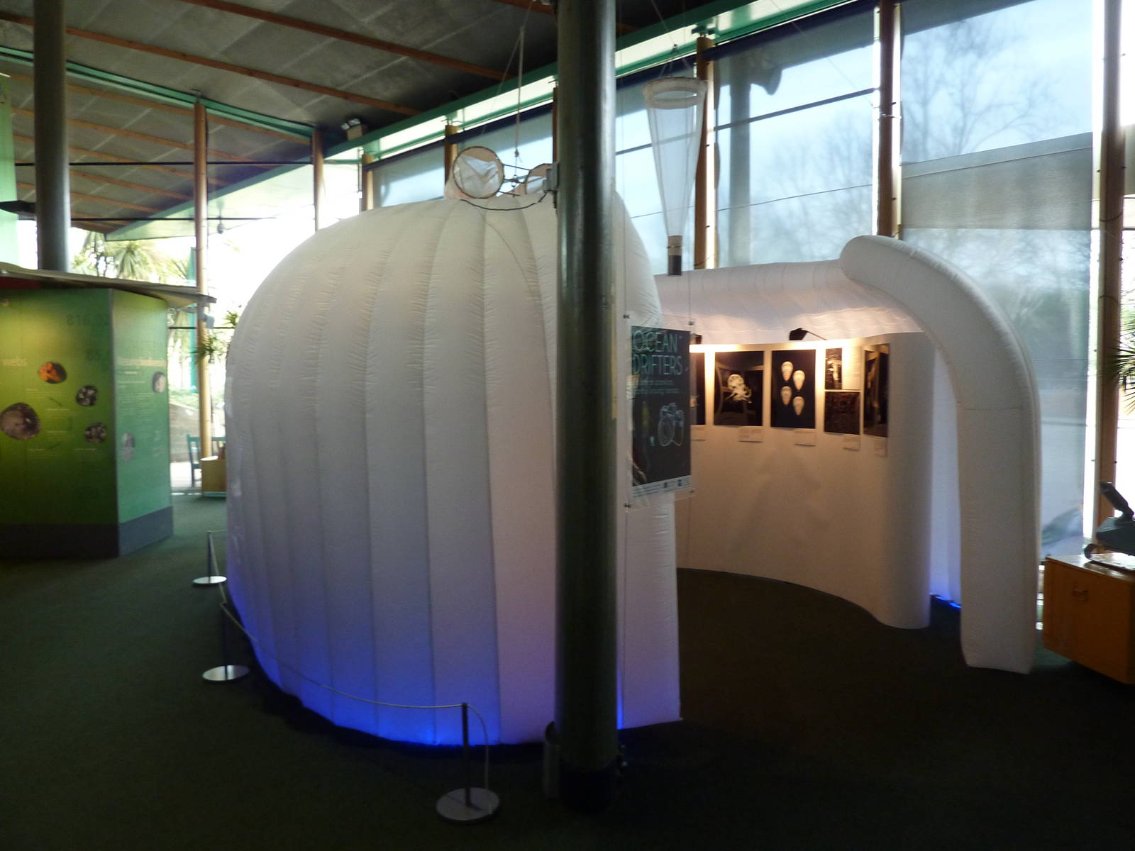 Plankton photo exhibition, BUGS