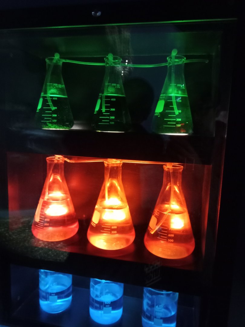 Plankton Vials, 3.5.25