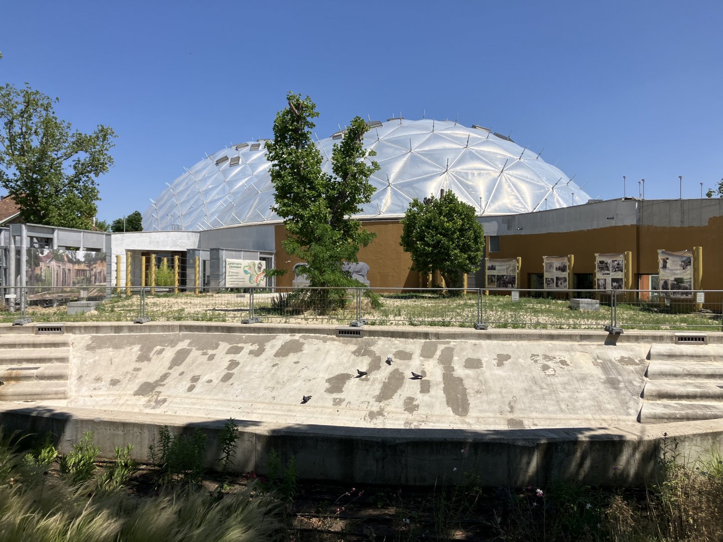 Planned Asiatic Elephant Bull paddock-06/2025