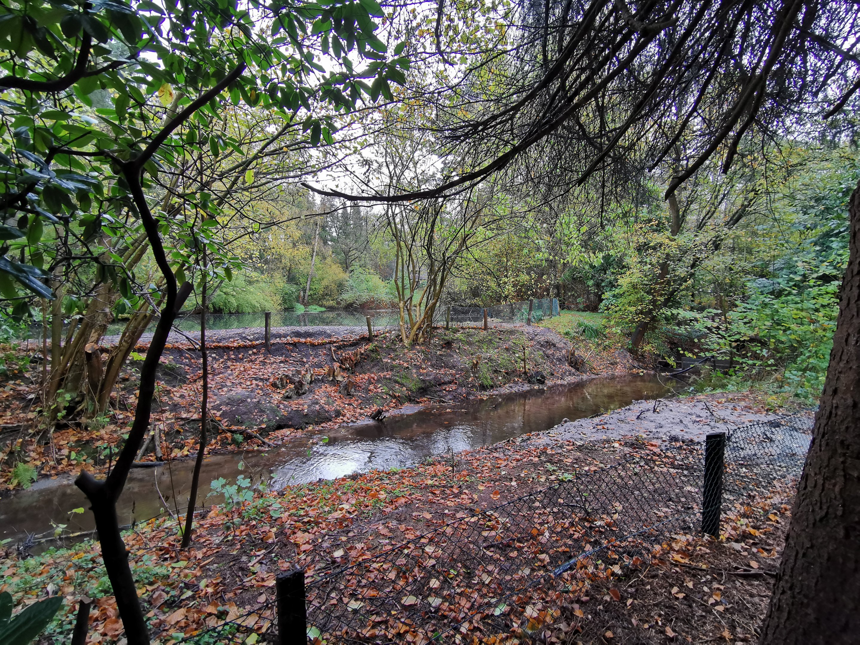 Plans for 2020? (Nov 2nd, 2019)