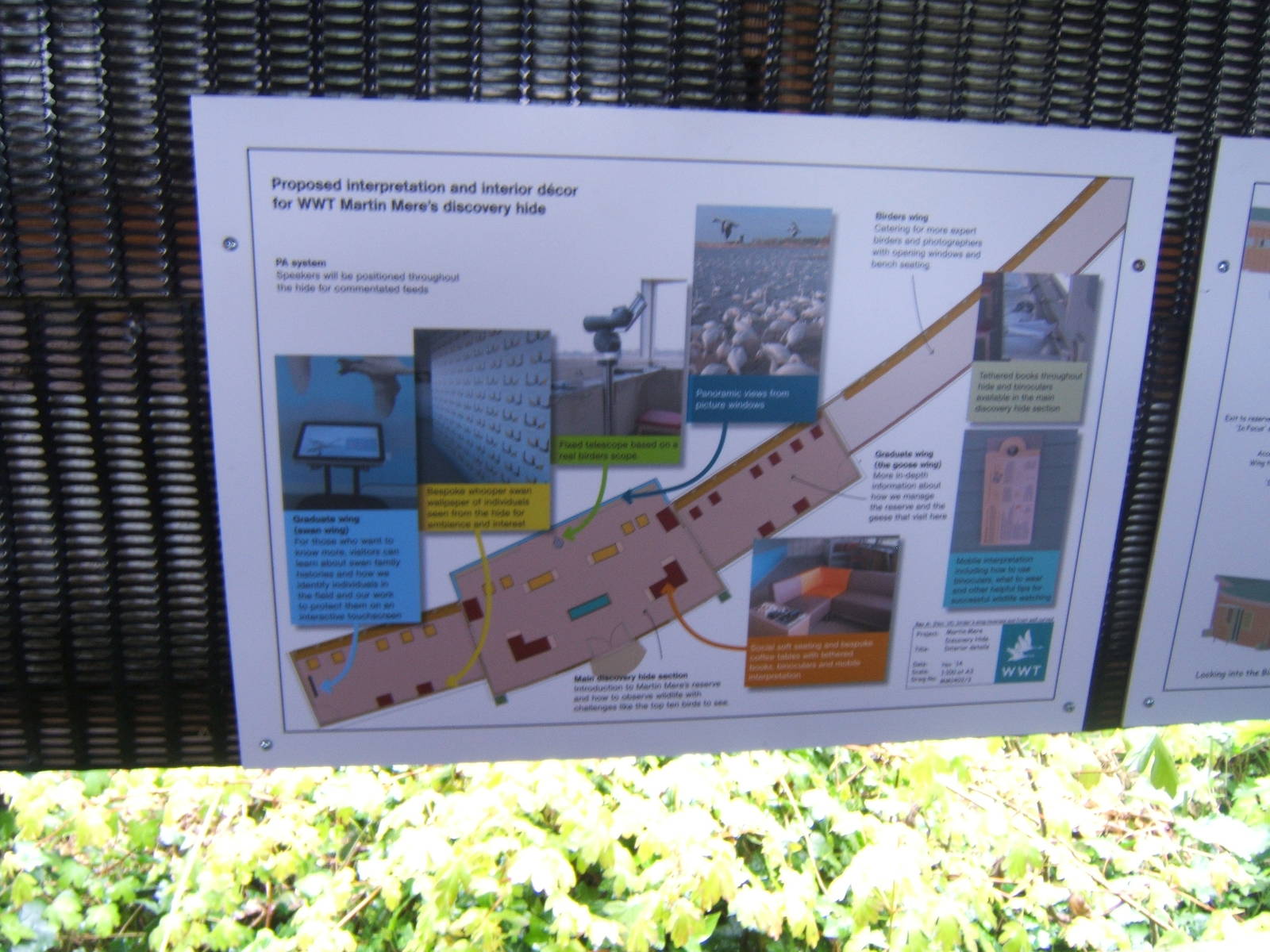 Plans for a rebuilding of the Swan Hide