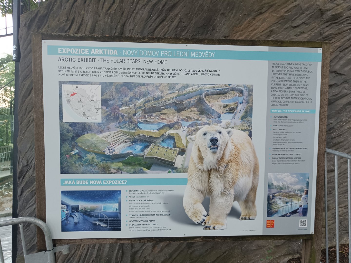 Plans for future Polar Bear exhibit - 'Arktida'
