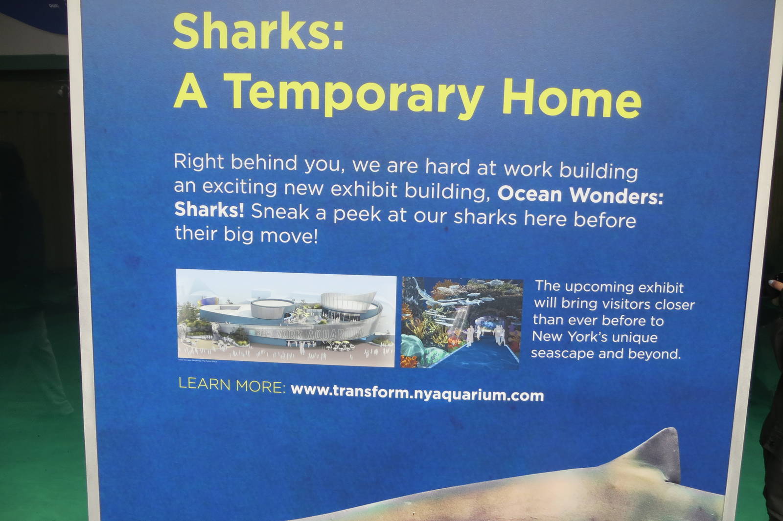 Plans for new exhibit 021215