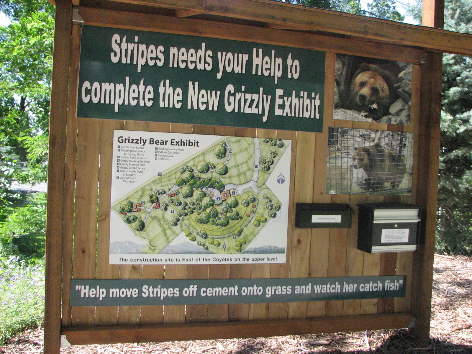 Plans for New Grizzly Exhibit