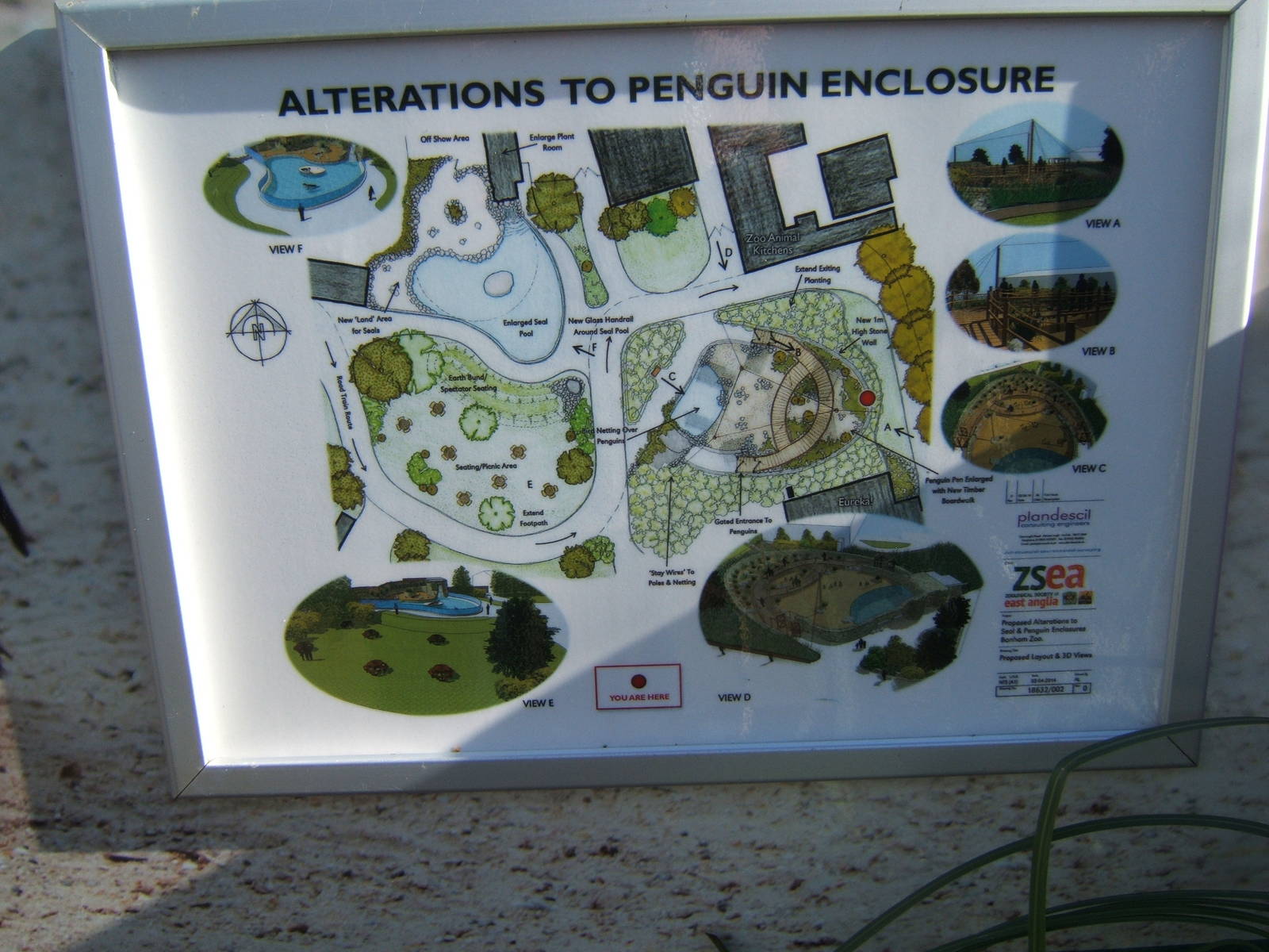 Plans for work on the Penguin enclosure