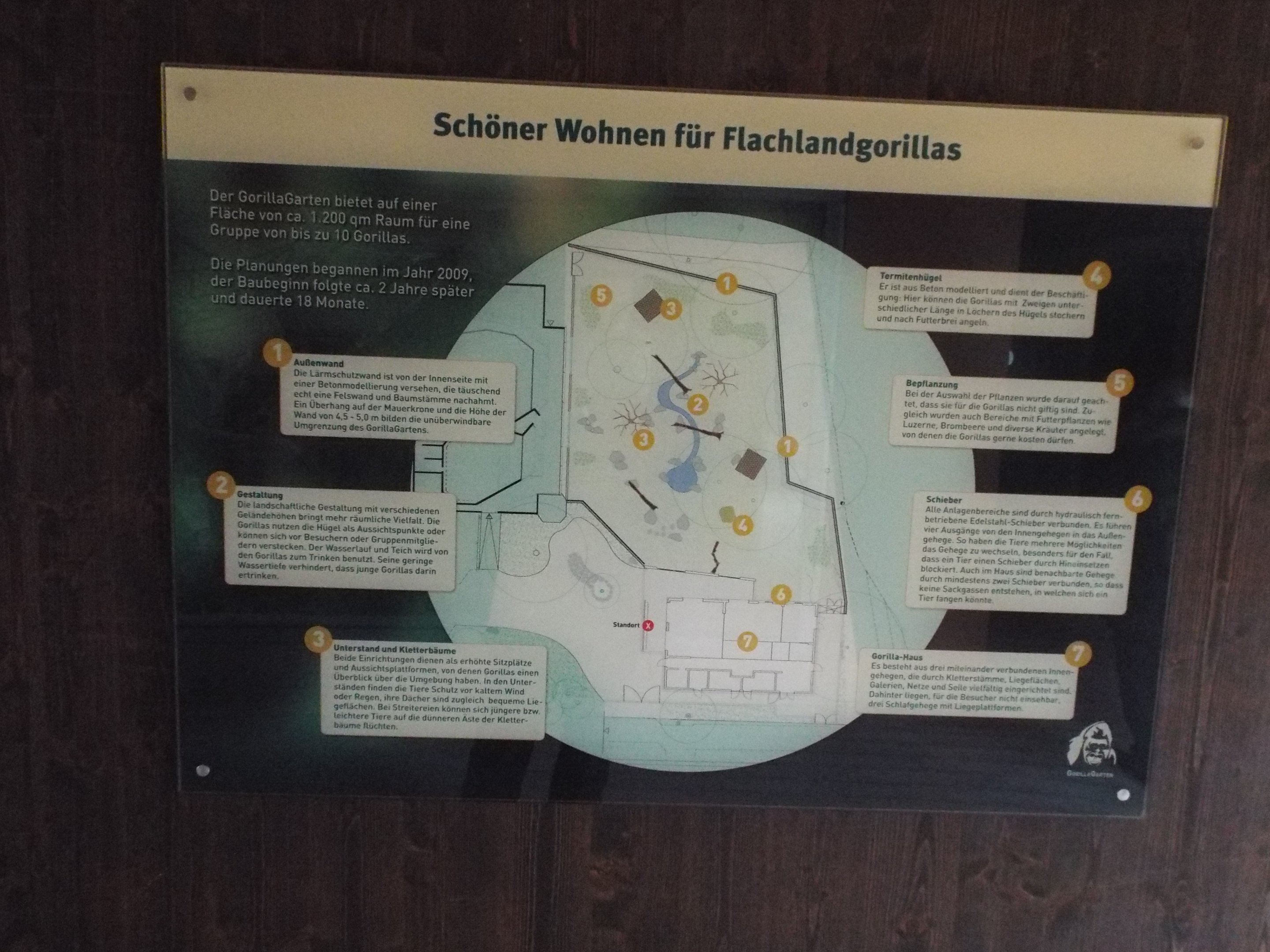 Plans of outdoor exhibit for Western Lowland Gorilla