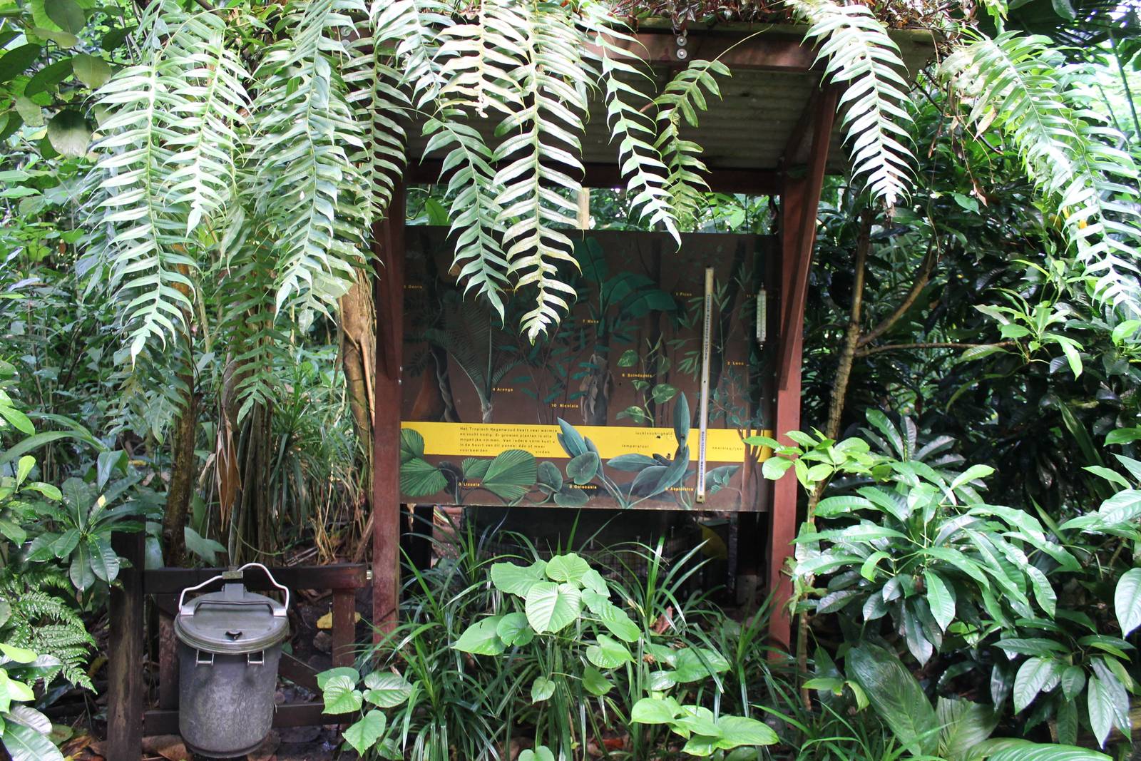 Plant and tree info sign