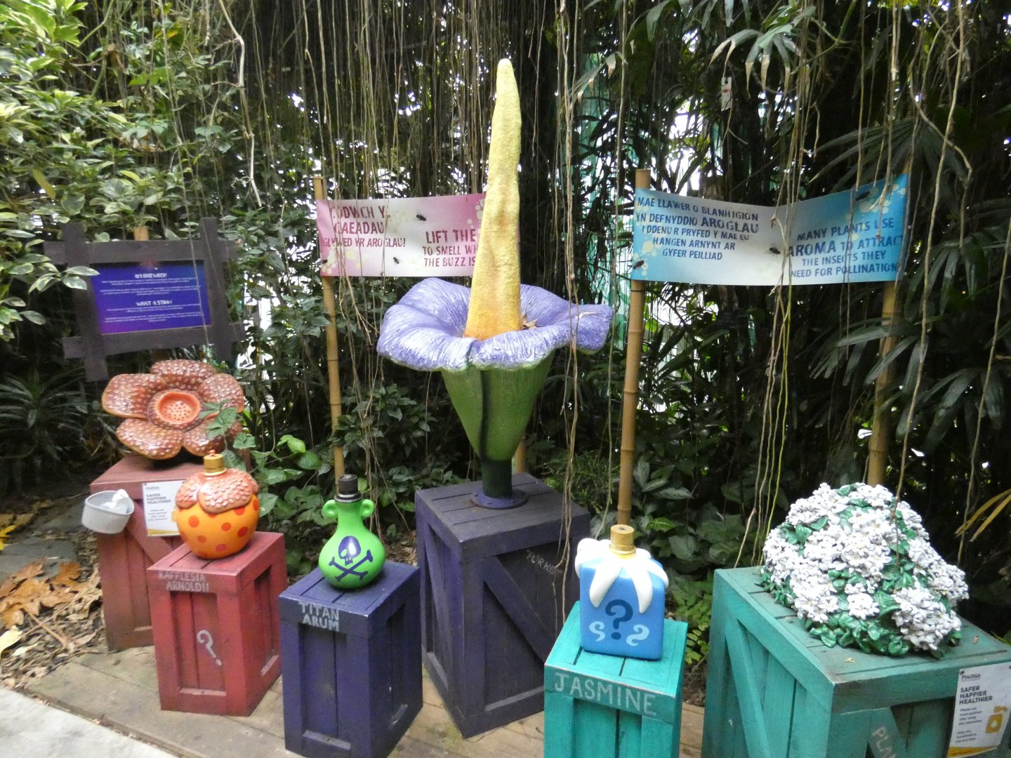 Plant display (Plantasia Swansea)
