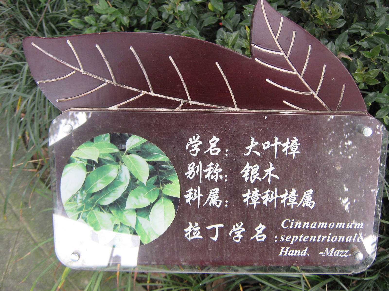 plant label