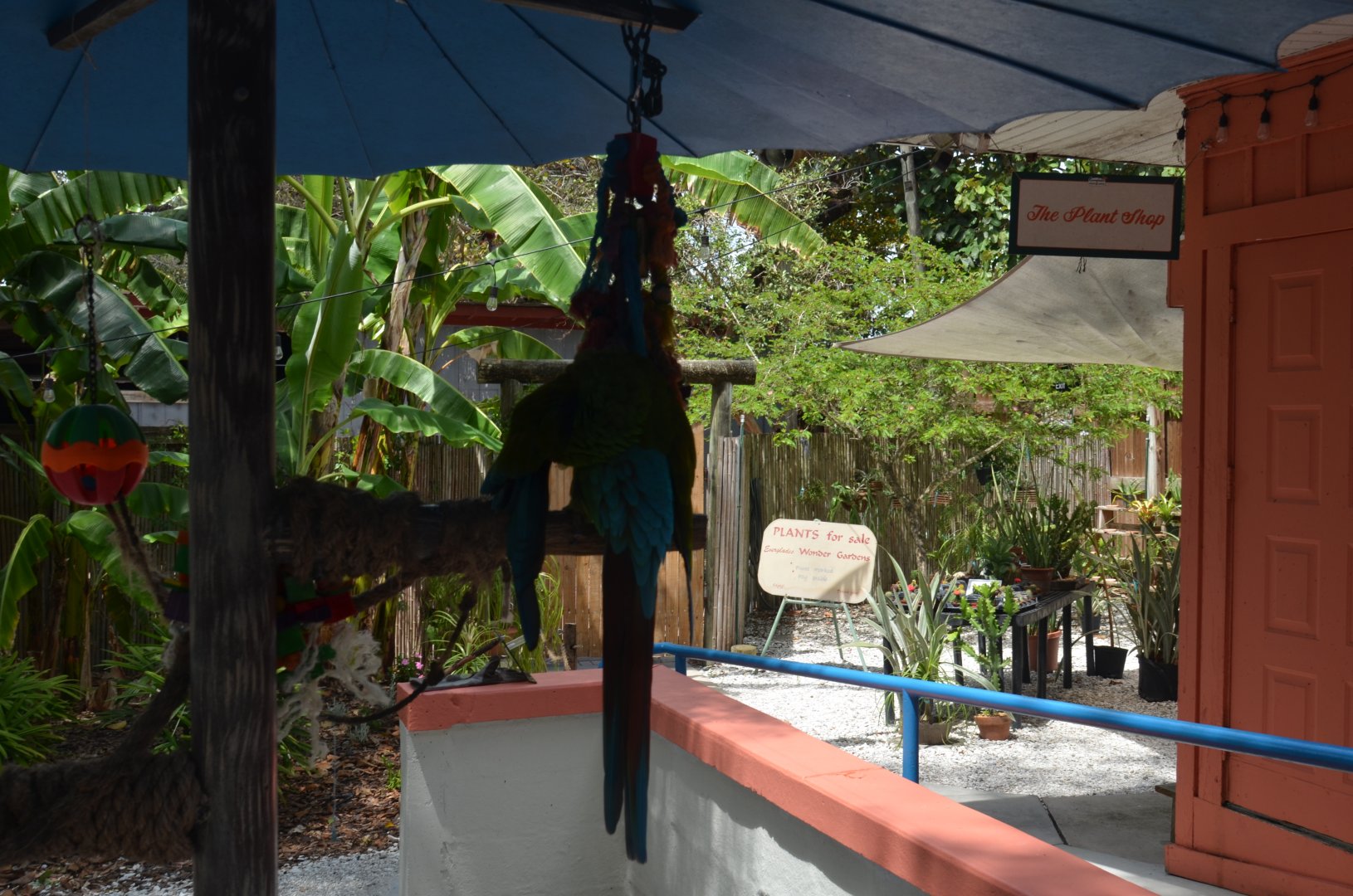 Plant Shop and Macaw Perches