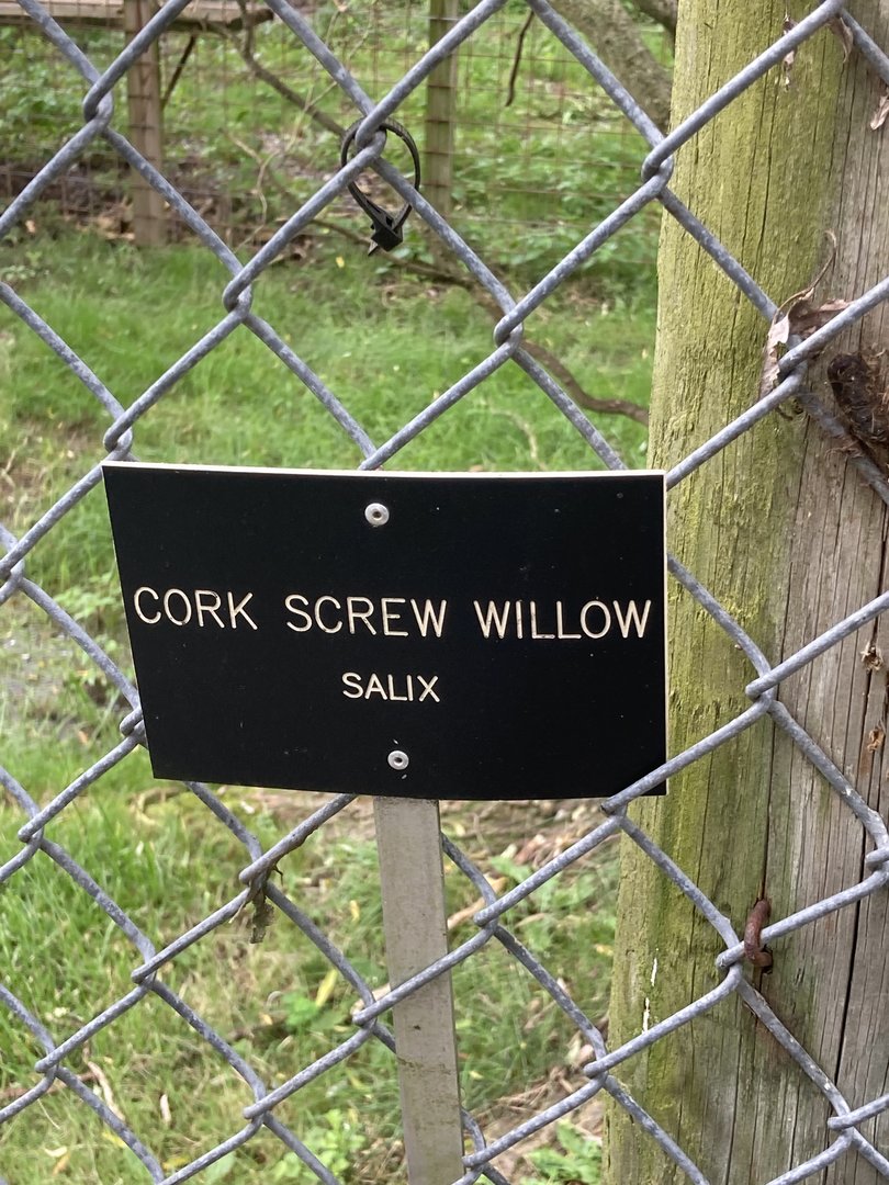 Plant signage example (all the trees here were signed)