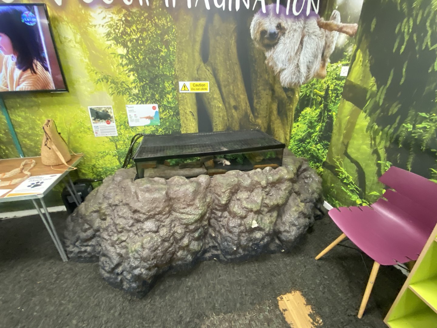 Plantasia - Axolotl exhibit 050923