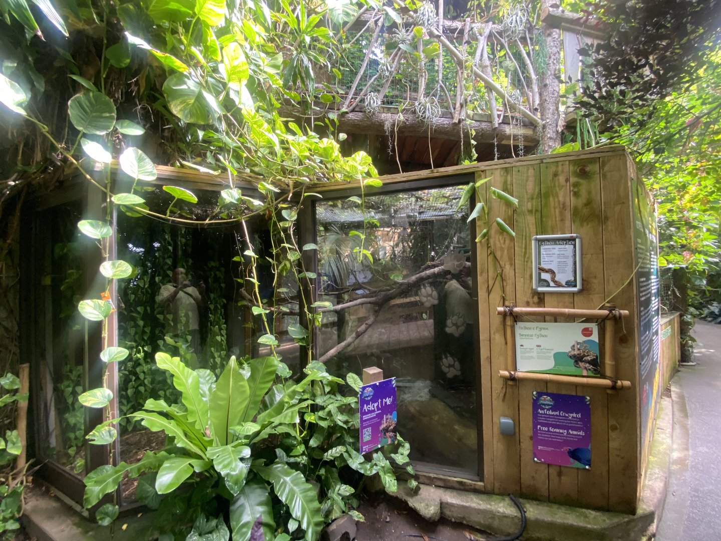 Plantasia - Burmese python exhibit 050923