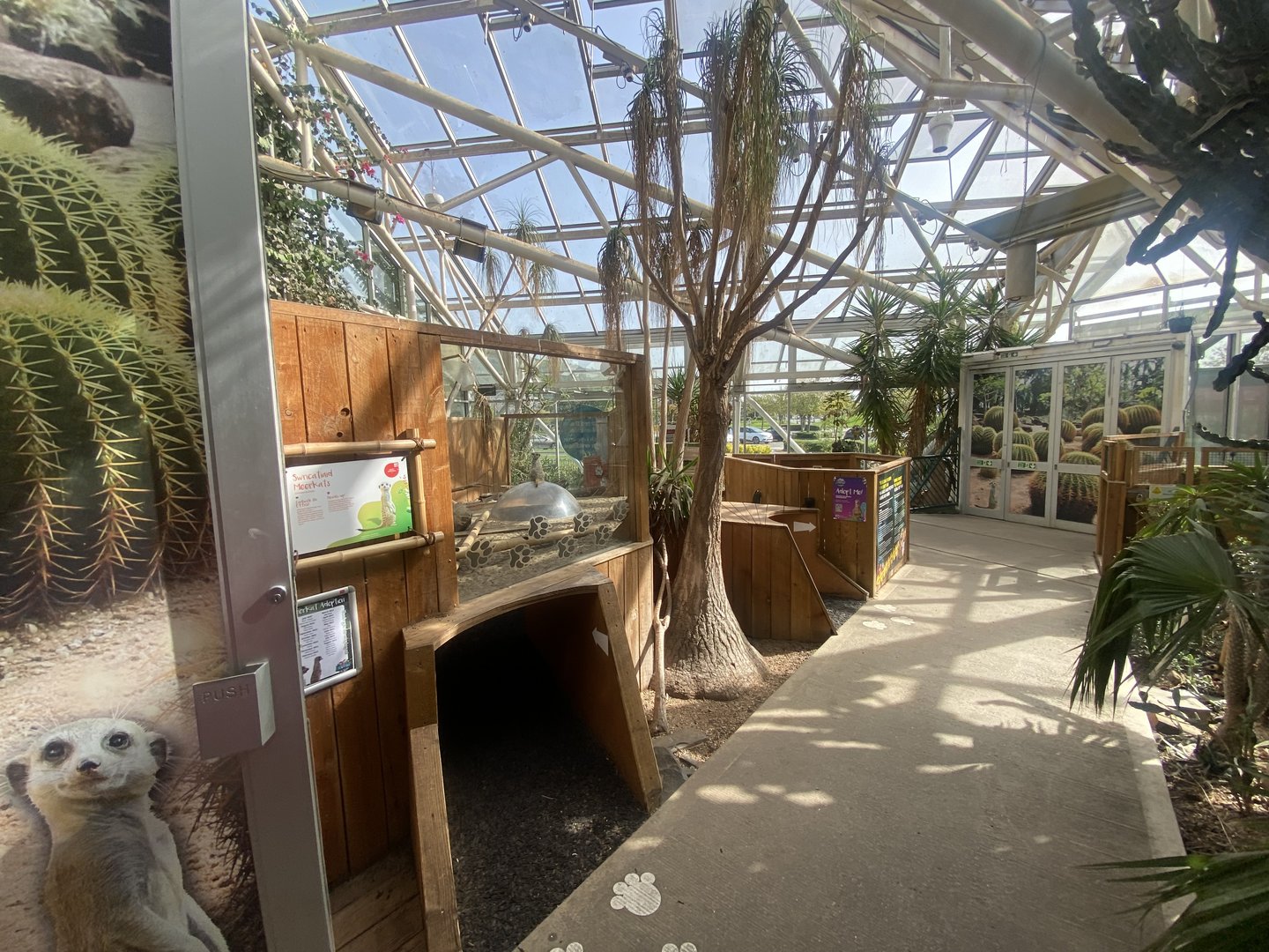 Plantasia - Desert area 050923