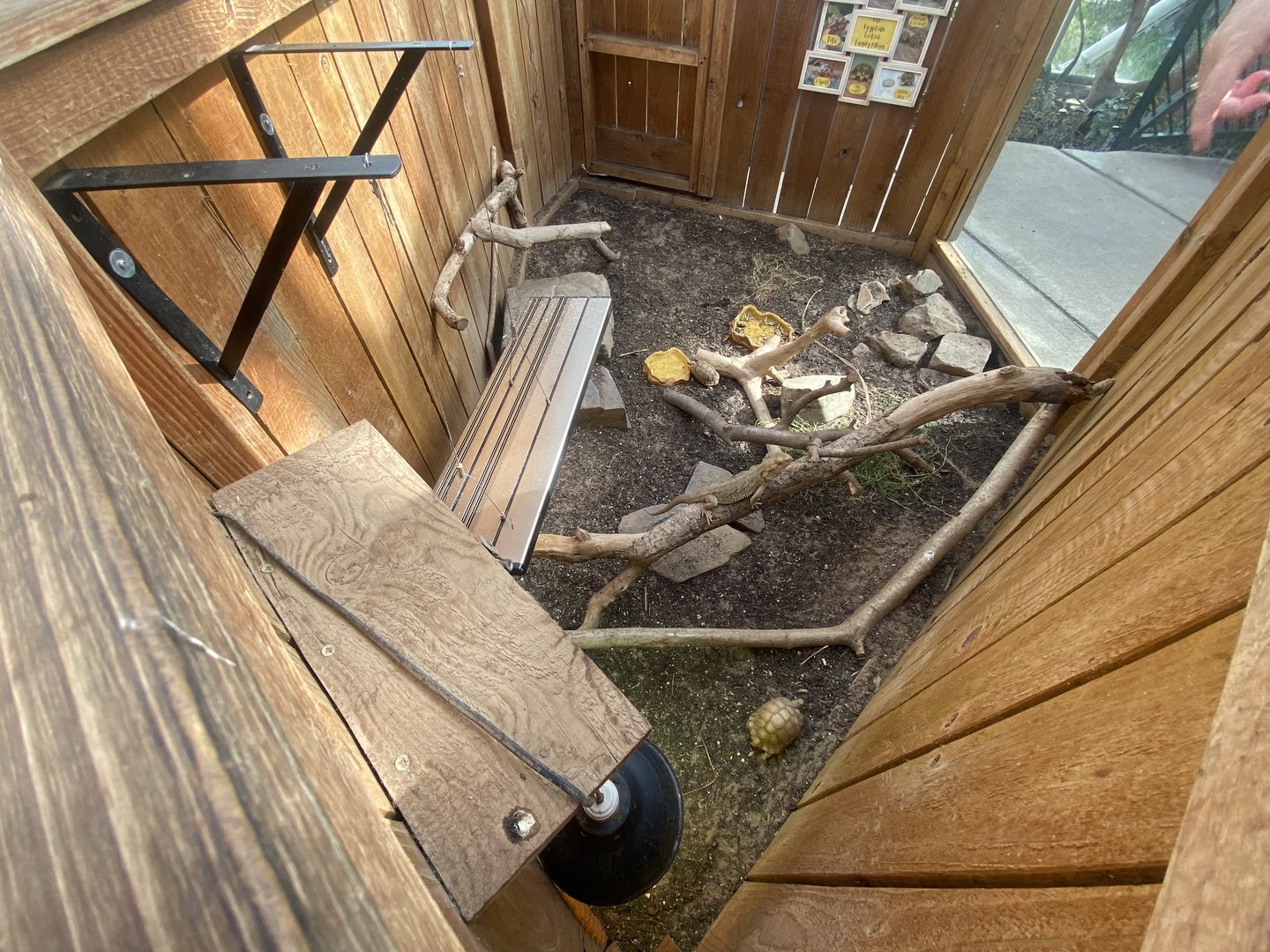 Plantasia - Egyptian tortoise and Bearded dragon exhibit 050923