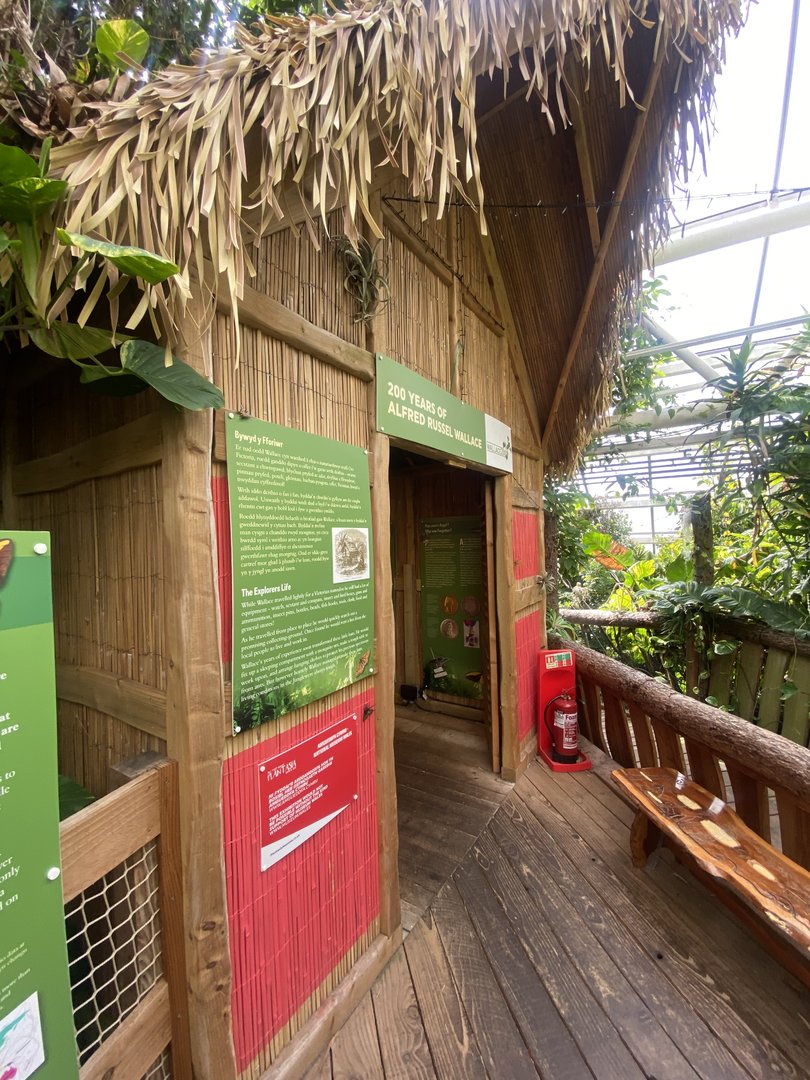 Plantasia - Entrance to Alfred Wallace exhibit 050923