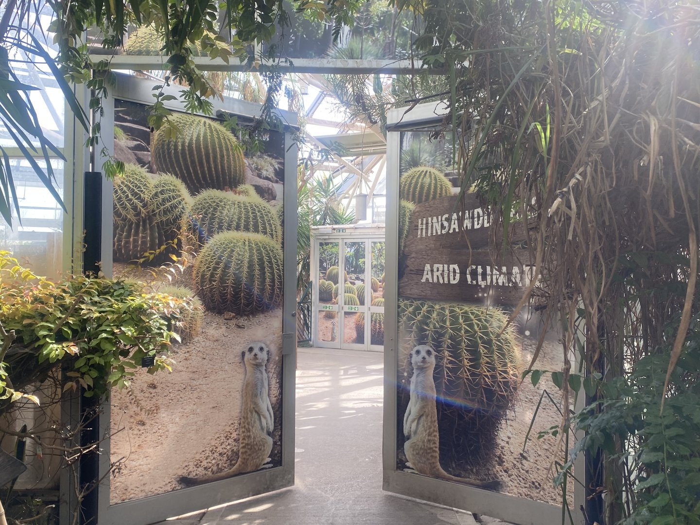 Plantasia - Entrance to Desert Area 050923