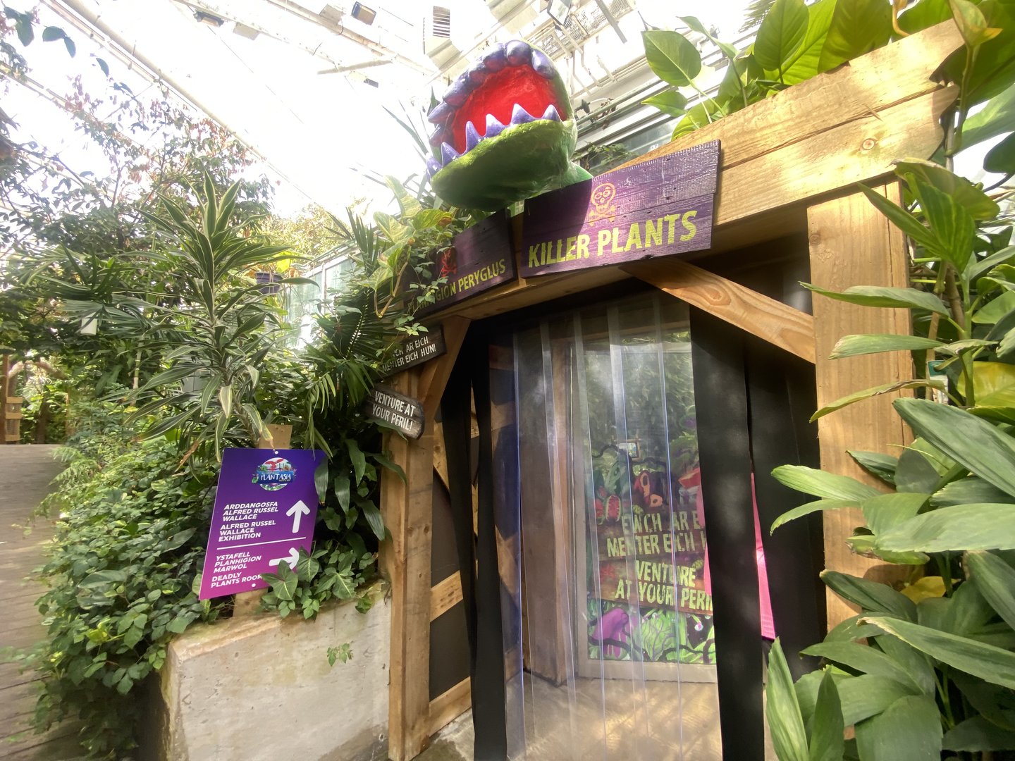 Plantasia - Entrance to Killer Plants 050923