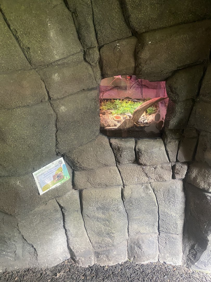 Plantasia - Giant flower beetle exhibit 050923