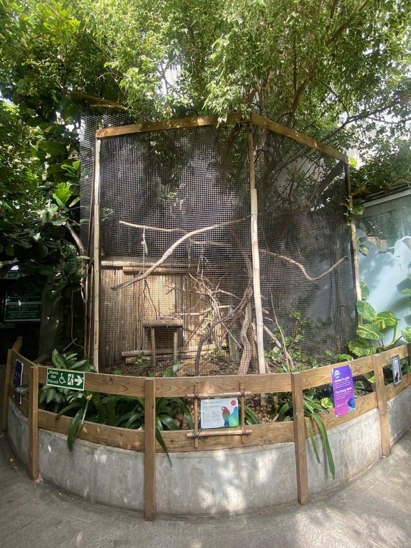 Plantasia - Green-winged macaw exhibit 050923