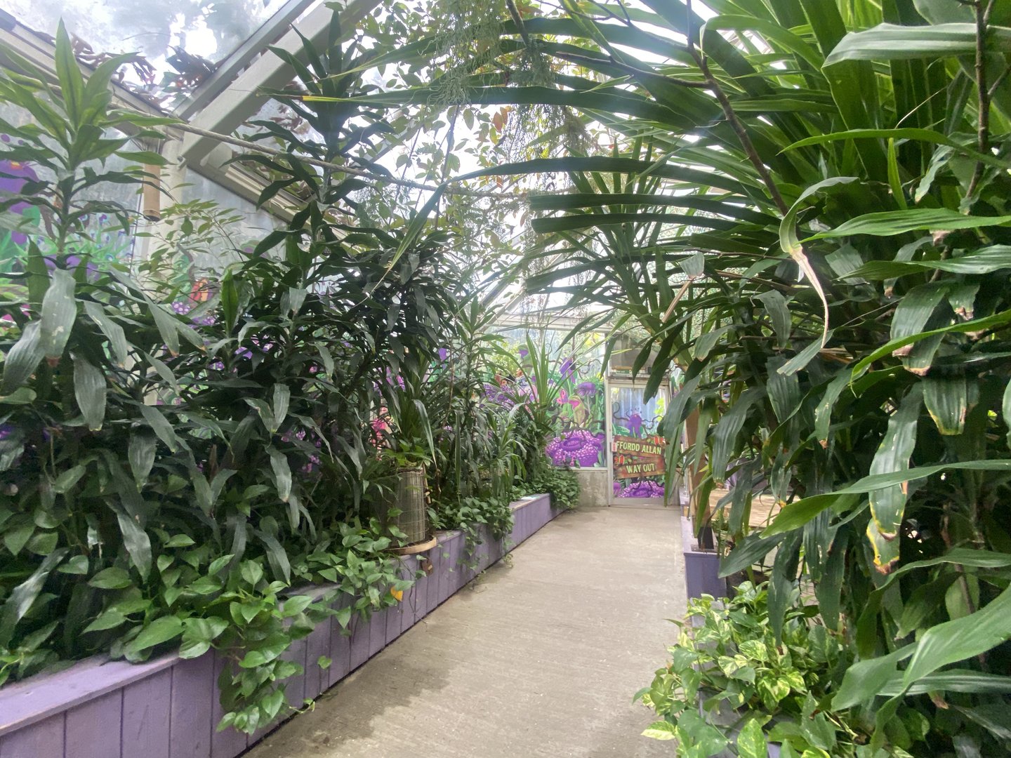 Plantasia - Killer Plants walkway 050923