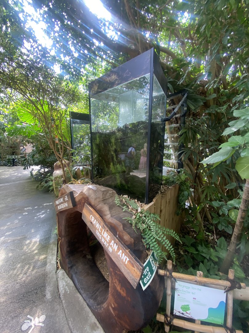 Plantasia - Leaf-cutter ants exhibit 050923