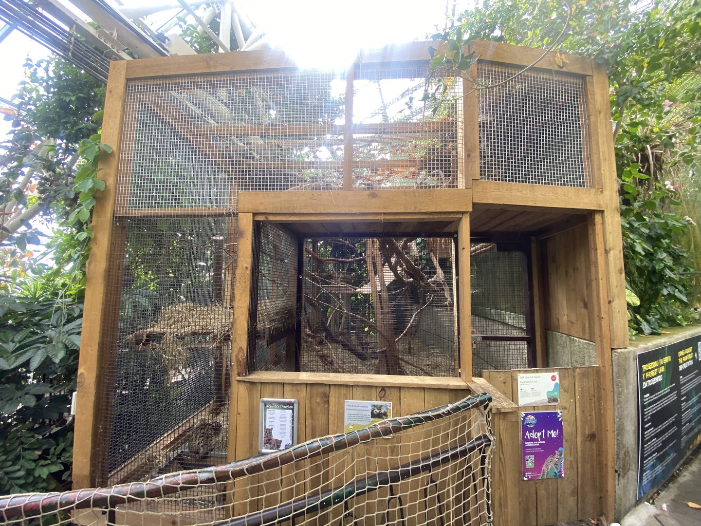 Plantasia - Leopard cat exhibit 050923