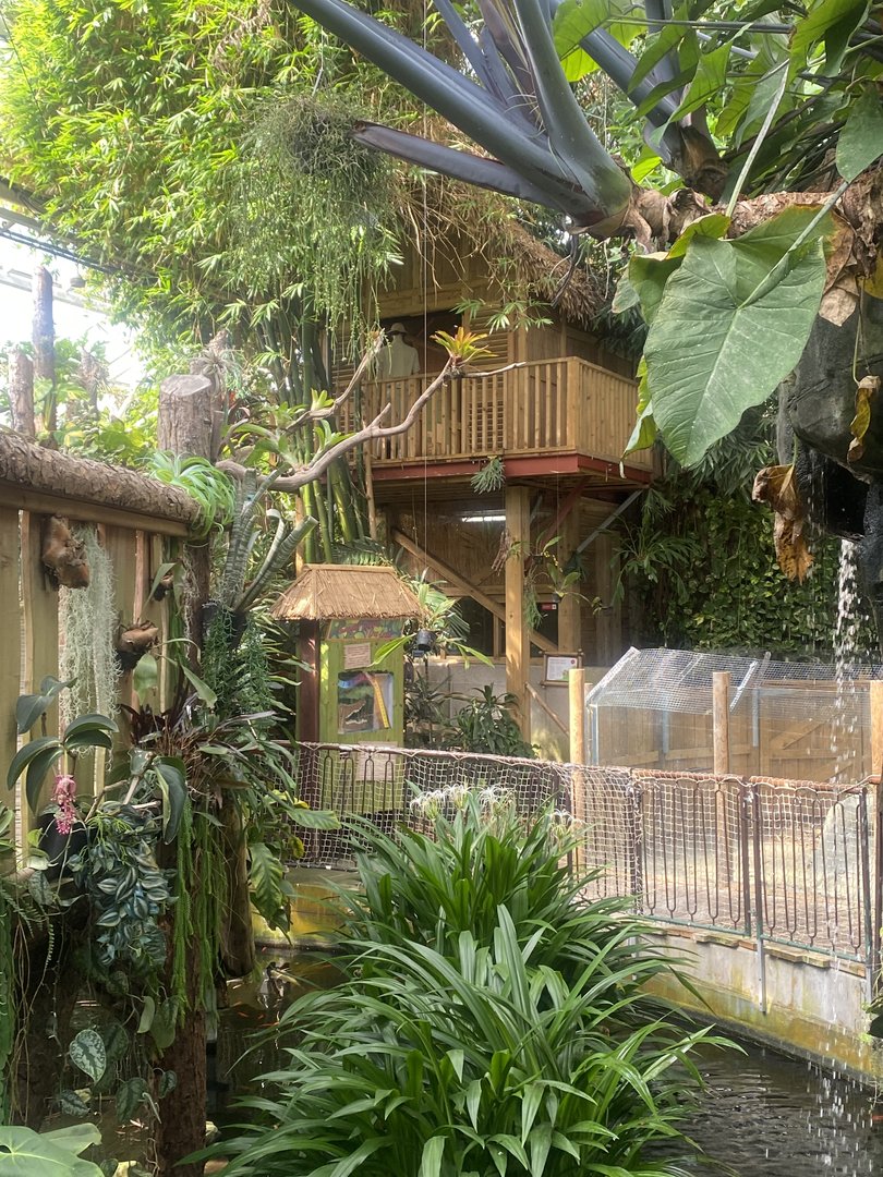 Plantasia - Lower level view 050923