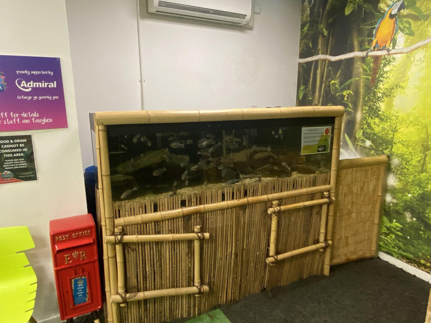 Plantasia - Manyara tilapia exhibit 050923