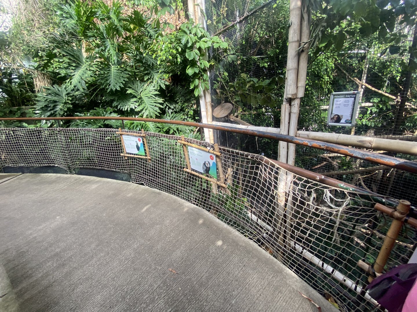 Plantasia - Mixed exhibit 050923