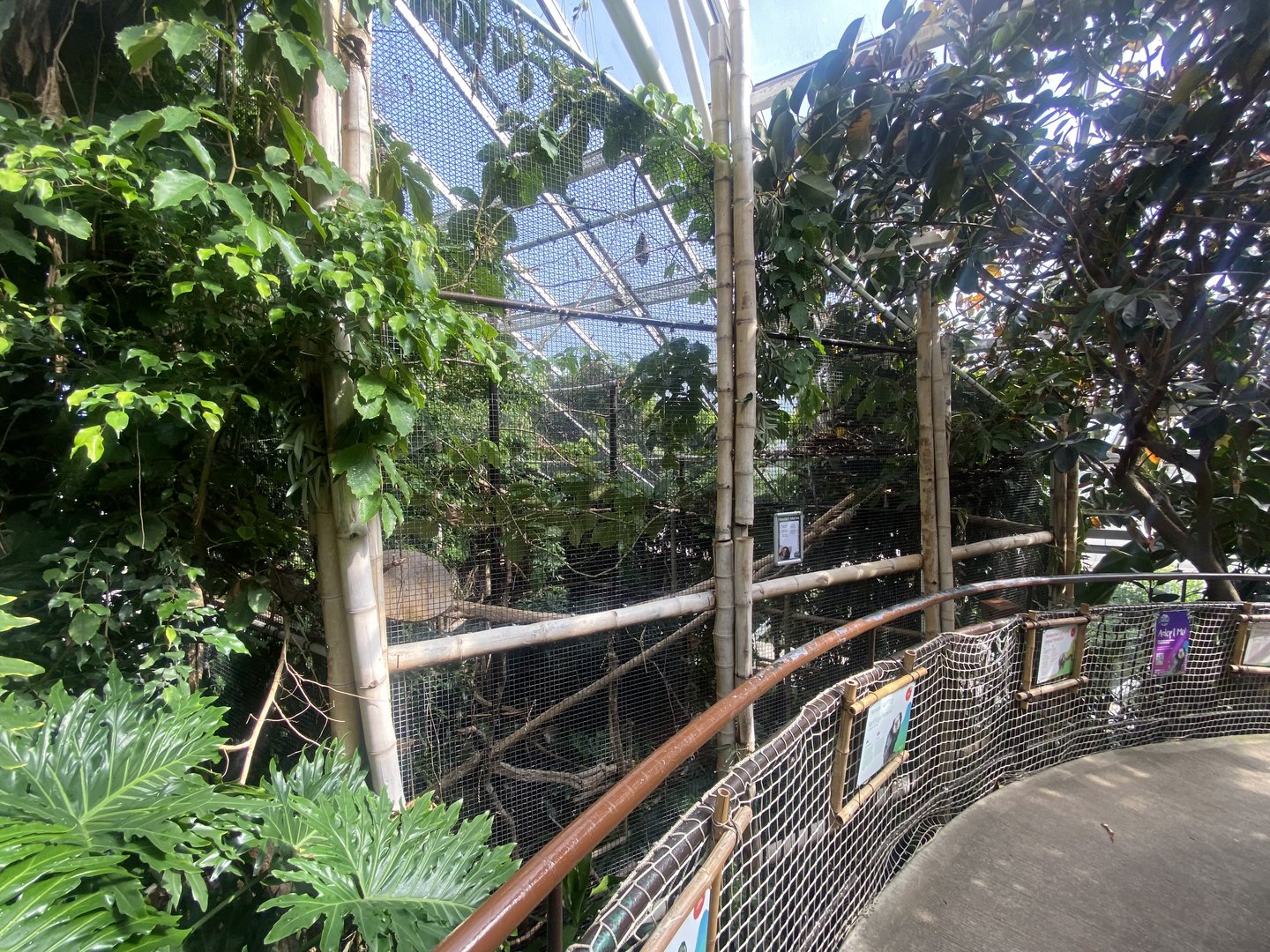 Plantasia - Mixed exhibit 050923