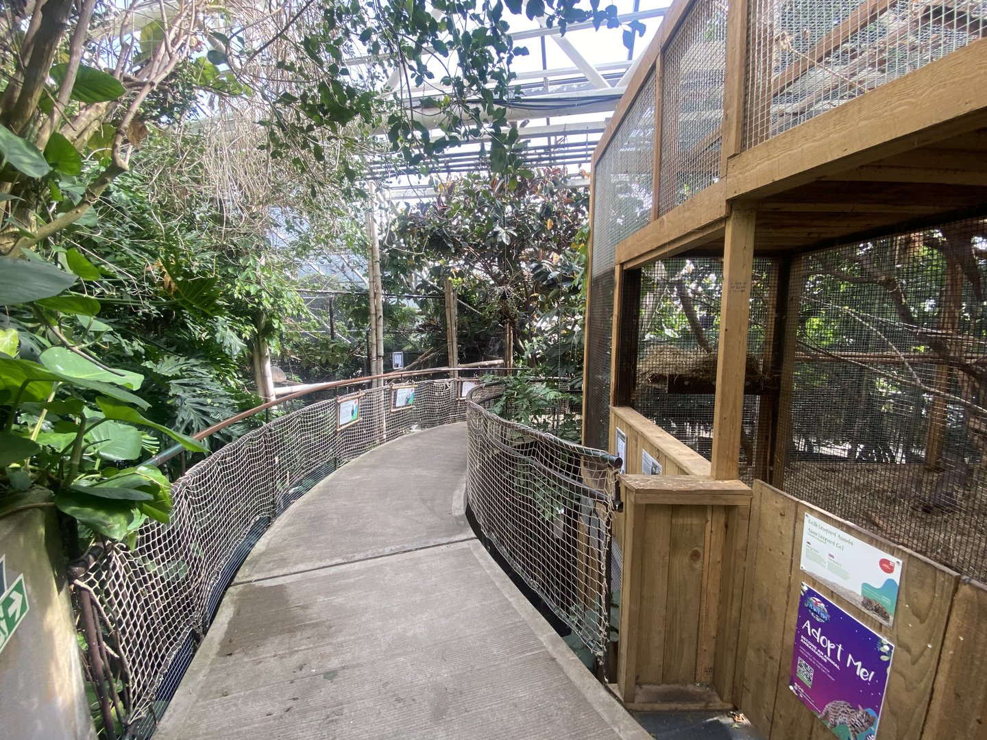 Plantasia - Mixed exhibit and Leopard cat exhibit 050923