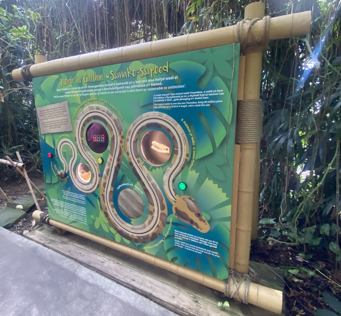 Plantasia - One of the activities 050923