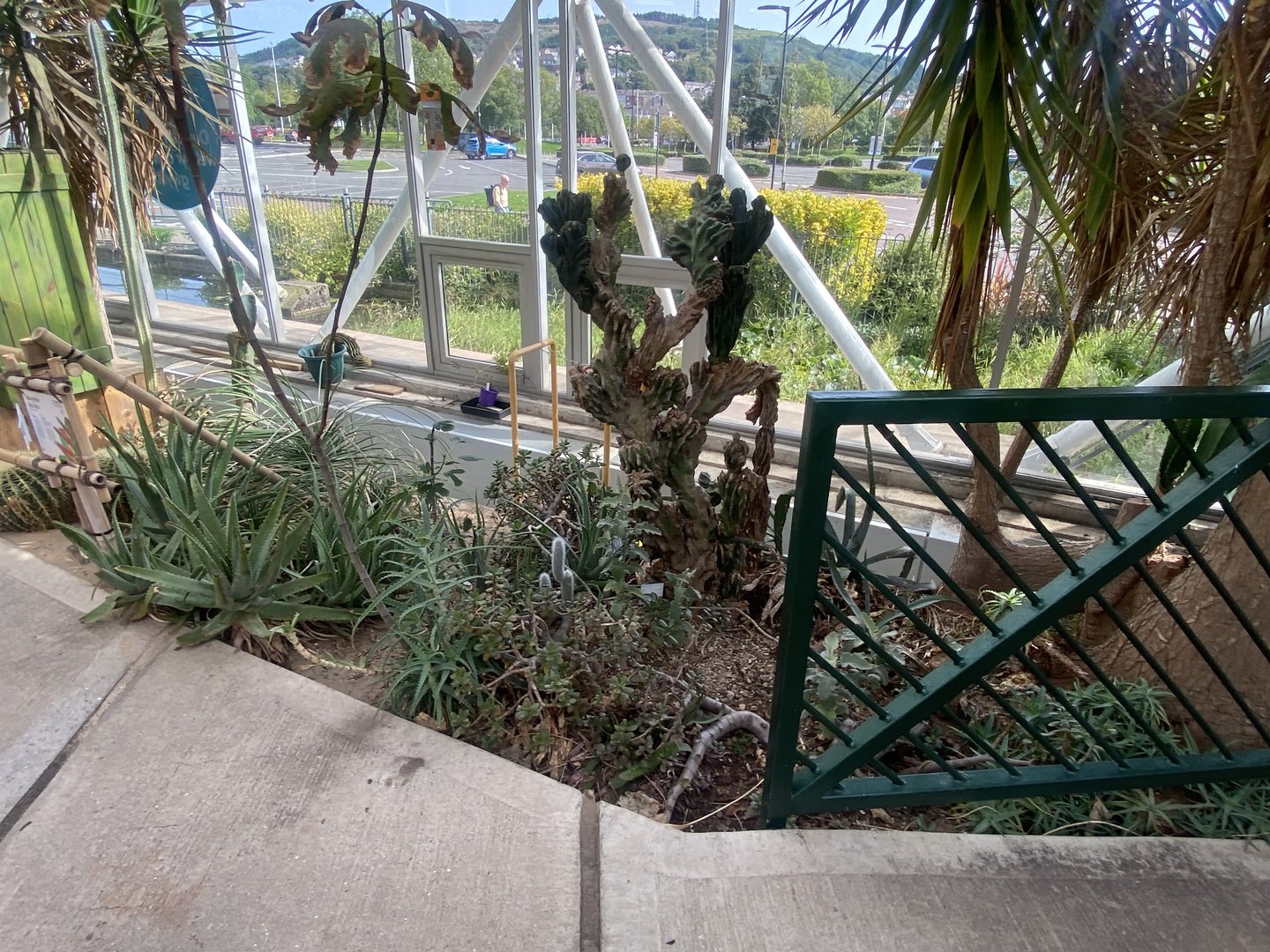 Plantasia - Planting in Desert area 050923