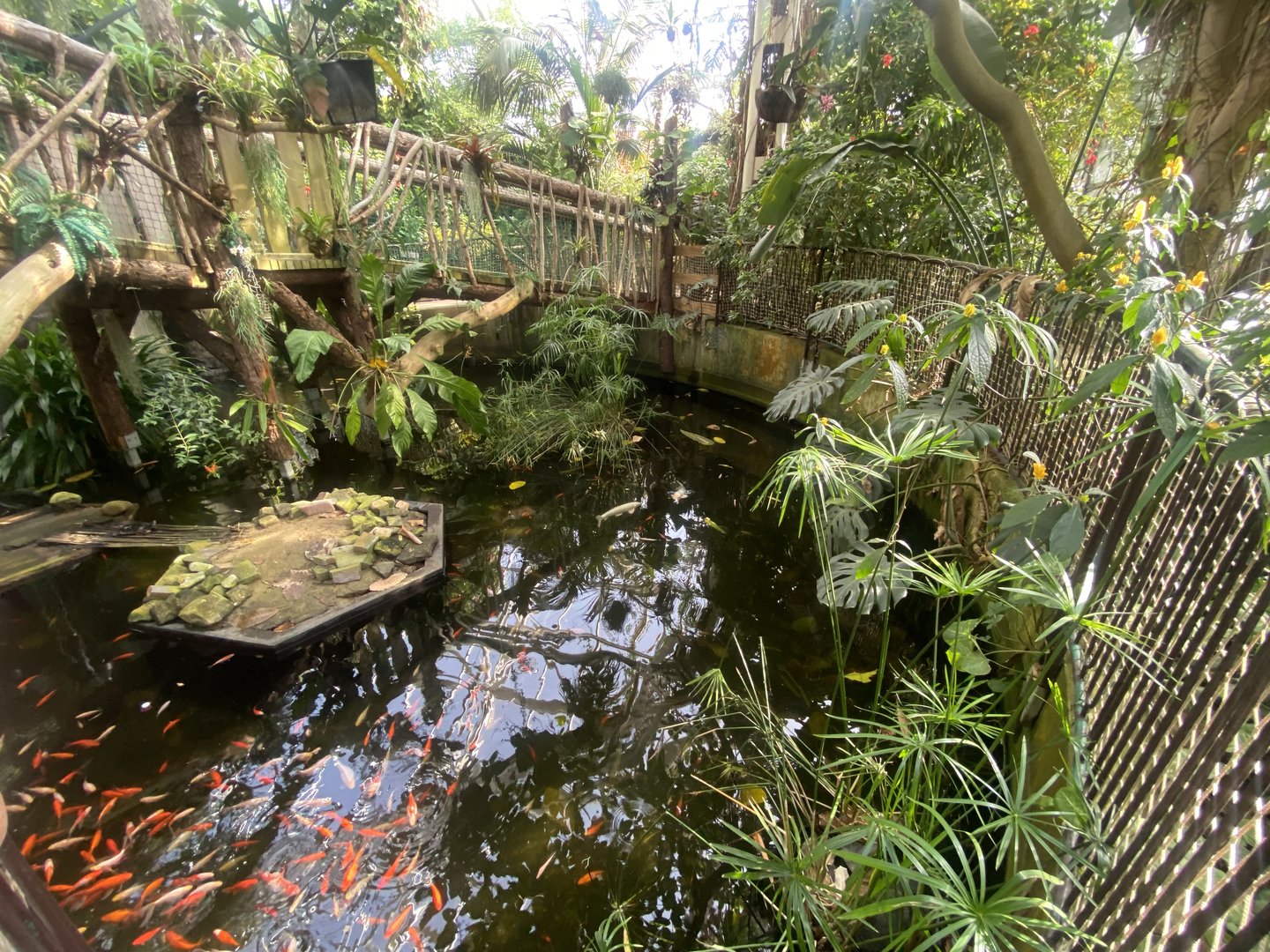 Plantasia - Pool in Rainforest 050923