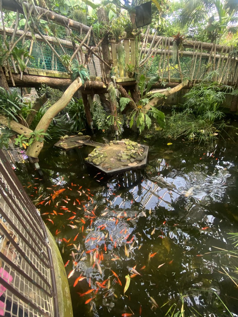 Plantasia - Pool in Rainforest area 050923