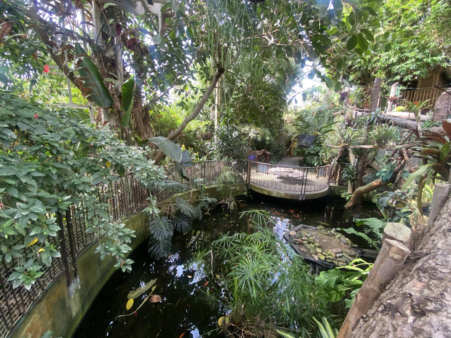 Plantasia - Pool in Rainforest area 050923