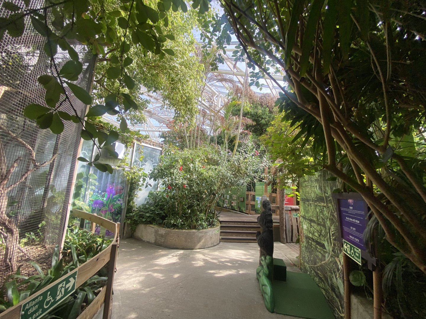 Plantasia - Rainforest Upper Level 050923